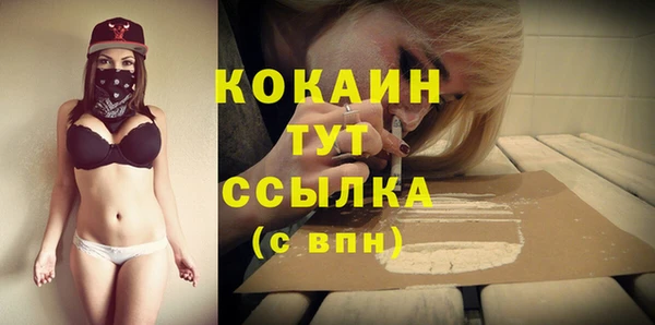 шишки Балабаново