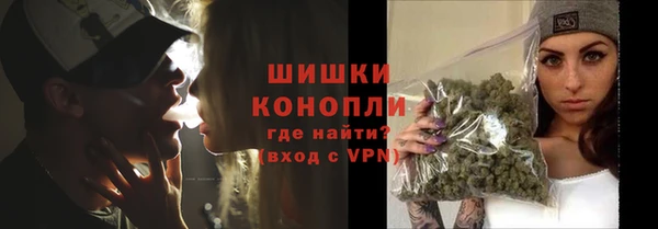 шишки Балабаново