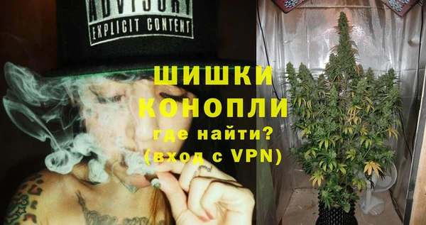 шишки Балабаново